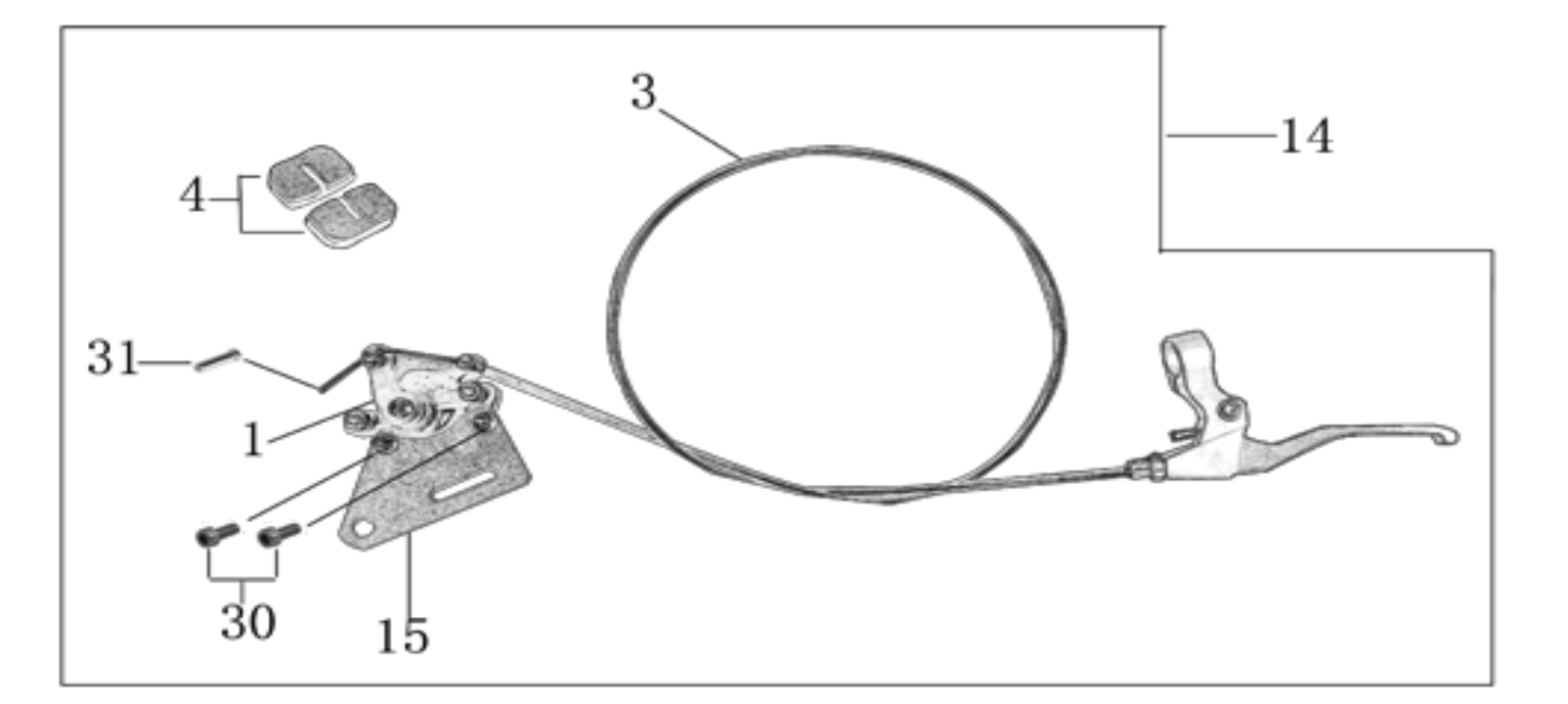 12 Rear Brake