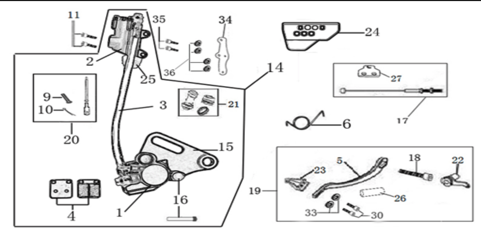 12 Rear Brake