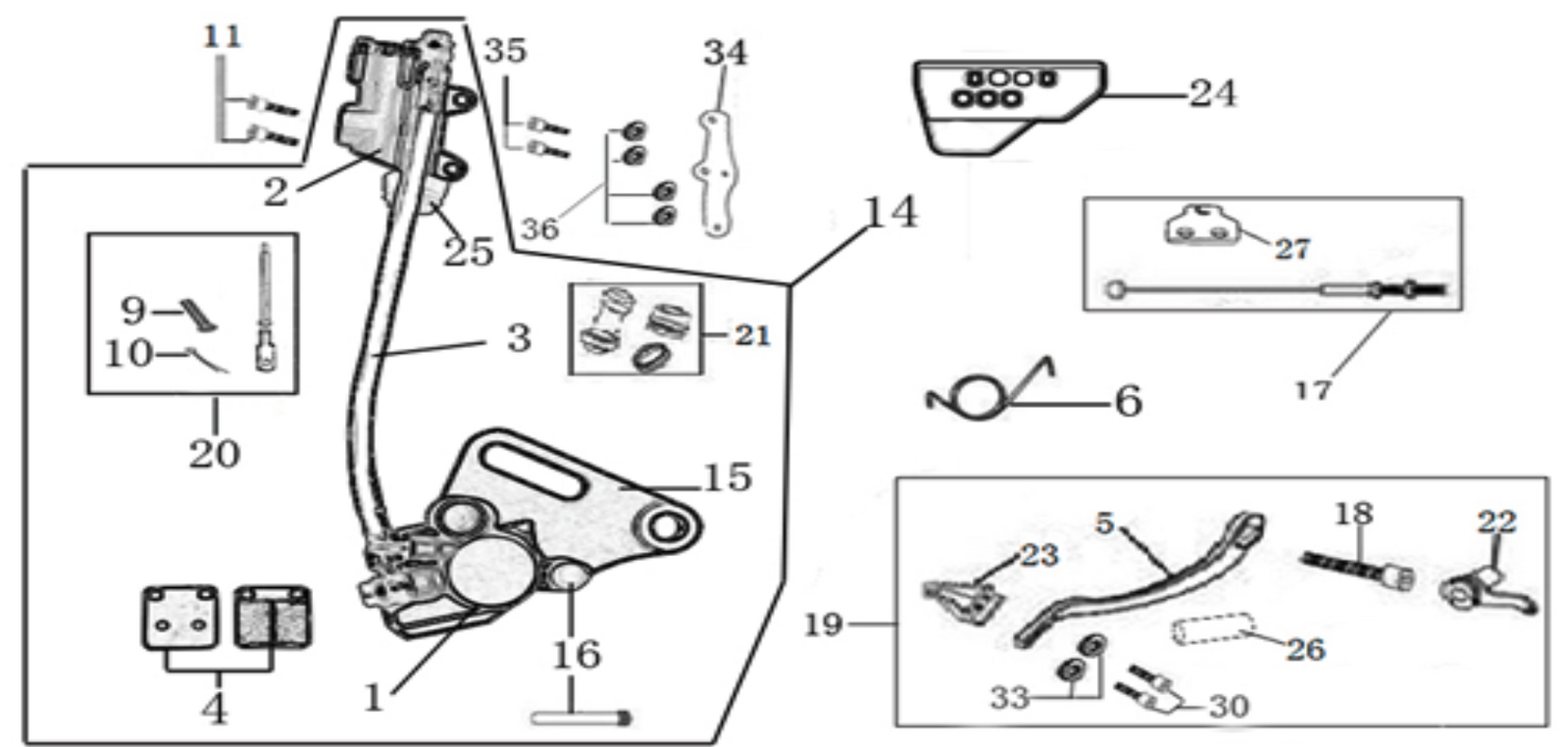 12 Rear Brake