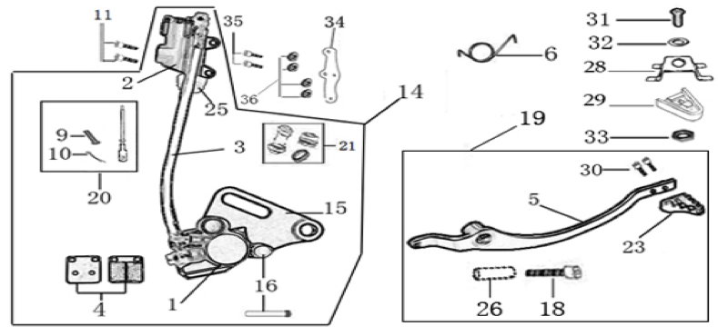 12 Rear Brake