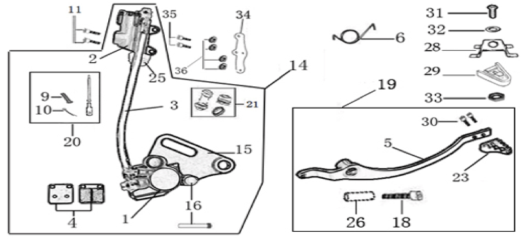 12 Rear Brake