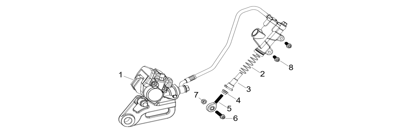 12 Rear Brake