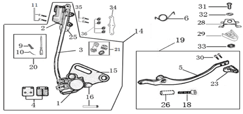 12 Rear Brake