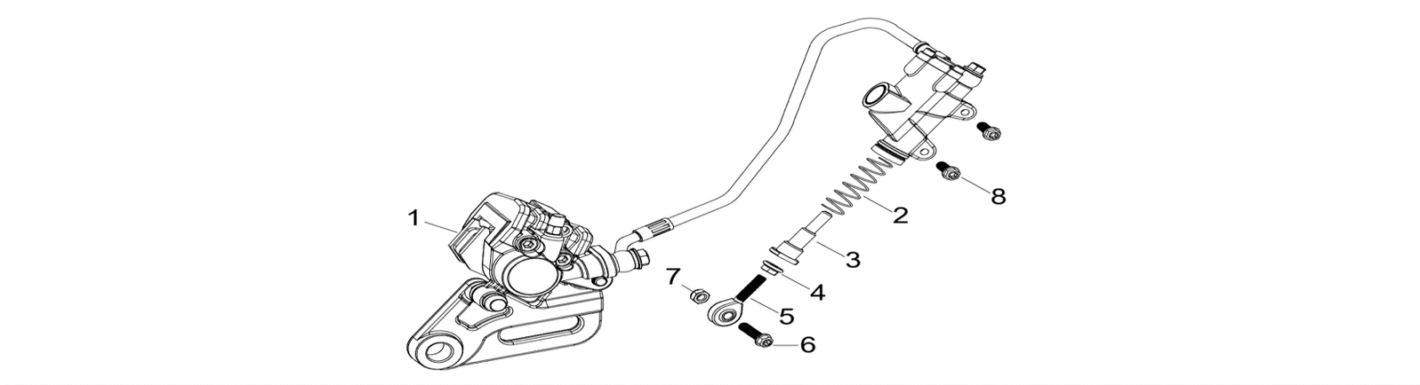 12 Rear Brake