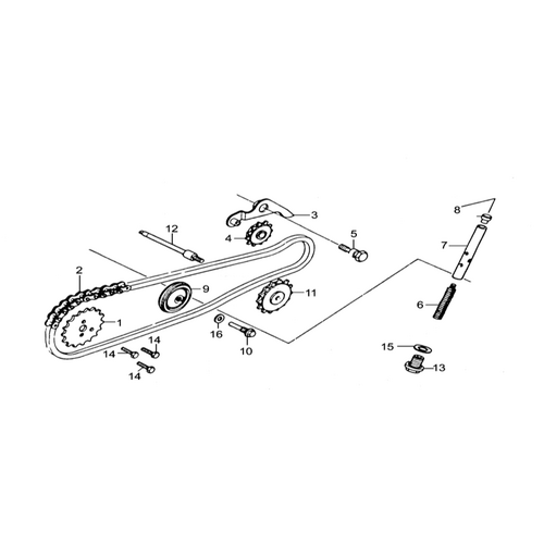 33 Timing Chain & Tensioner